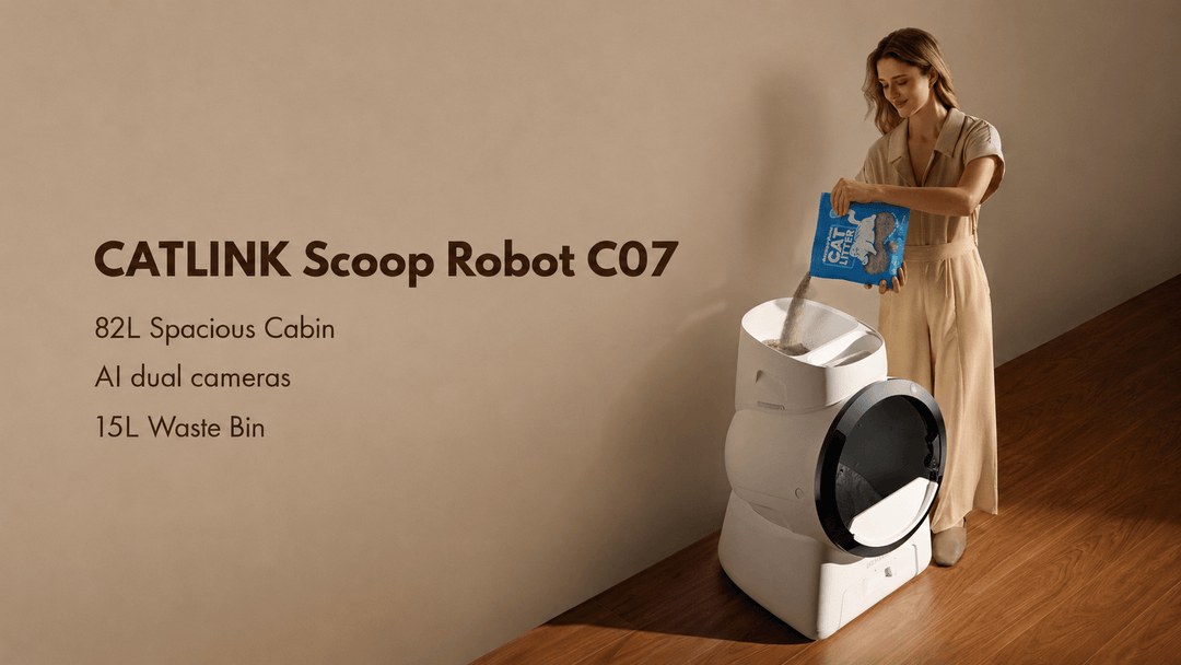 10 Reasons I Chose a Litter Box with Automatic Litter Refill