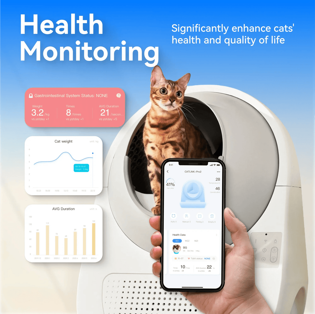 CATLINK APP: How to change the way you take care of your cat well by AI