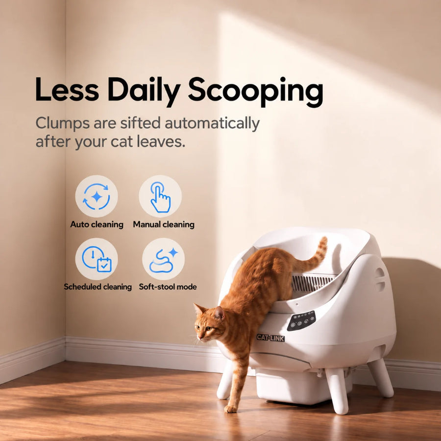 Orange cat stepping out of a CATLINK Open-X Pro beside cleaning-mode icons