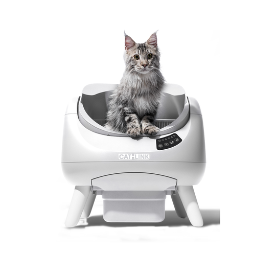 Base di ricambio CATLINK Open-X