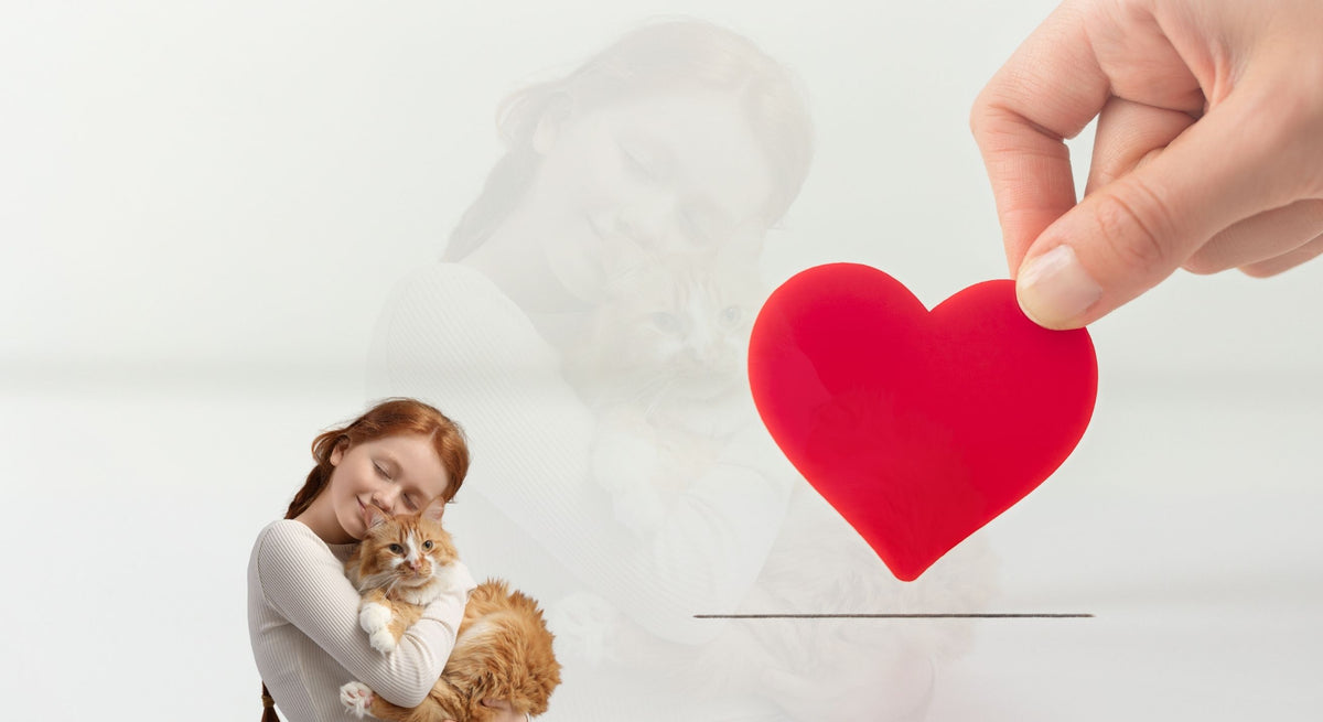 PC-Banner-care fund.jpg__PID:3a5fd550-35aa-4858-8526-bb021c55a8ca