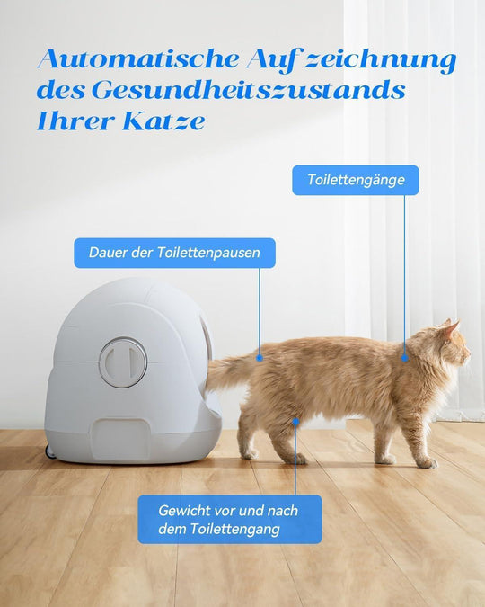 Catlink Baymax Lite(Grau) mit Treppe selbstreinigende Katzentoilette - Twopoint