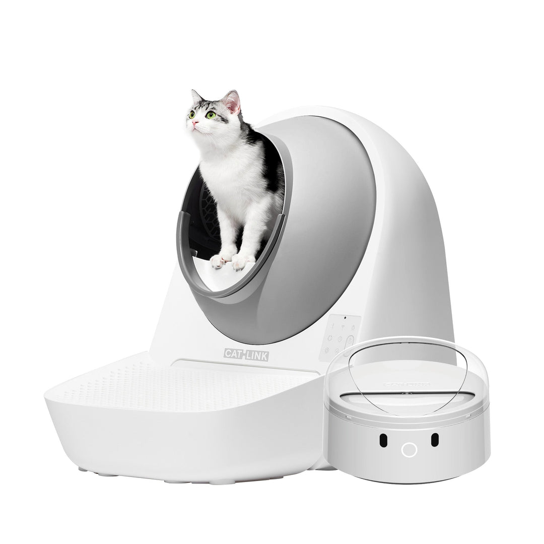 Bundle Package: Catlink Litter Box + Automatic Feeder - Catlink EU