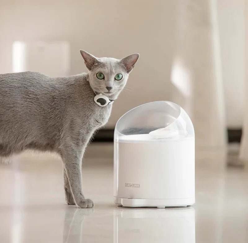Catlink Al Water Fountain - Pure 2 - Catlink EU