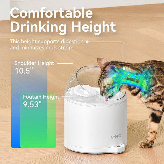 Catlink Al Water Fountain - Pure 2 - Catlink EU