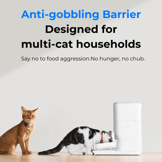 CATLINK Automatic Feeder - F04 FRESH 2 Luxury - Catlink EU