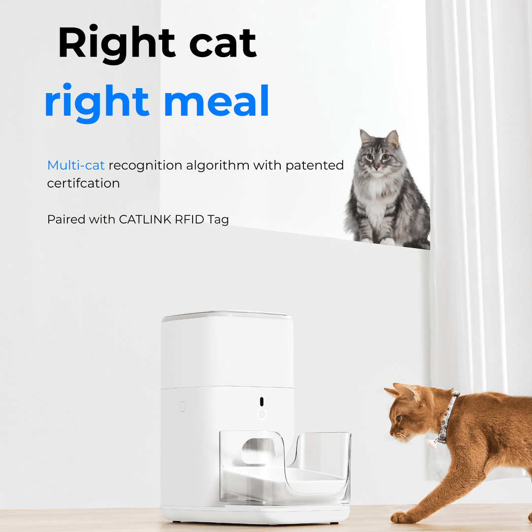 CATLINK Automatic Feeder - F04 FRESH 2 Luxury - Catlink EU