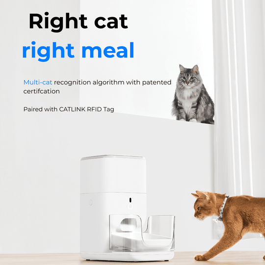 CATLINK Automatic Feeder - F04 FRESH 2 Luxury - Catlink EU