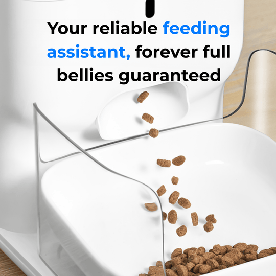 CATLINK Automatic Feeder - F04 FRESH 2 Luxury - Catlink EU