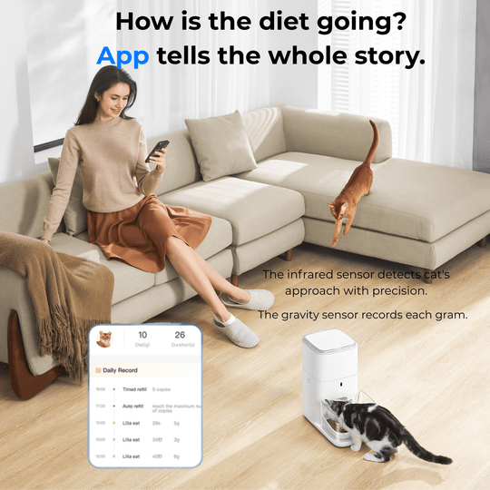 CATLINK Automatic Feeder - F04 FRESH 2 Luxury - Catlink EU