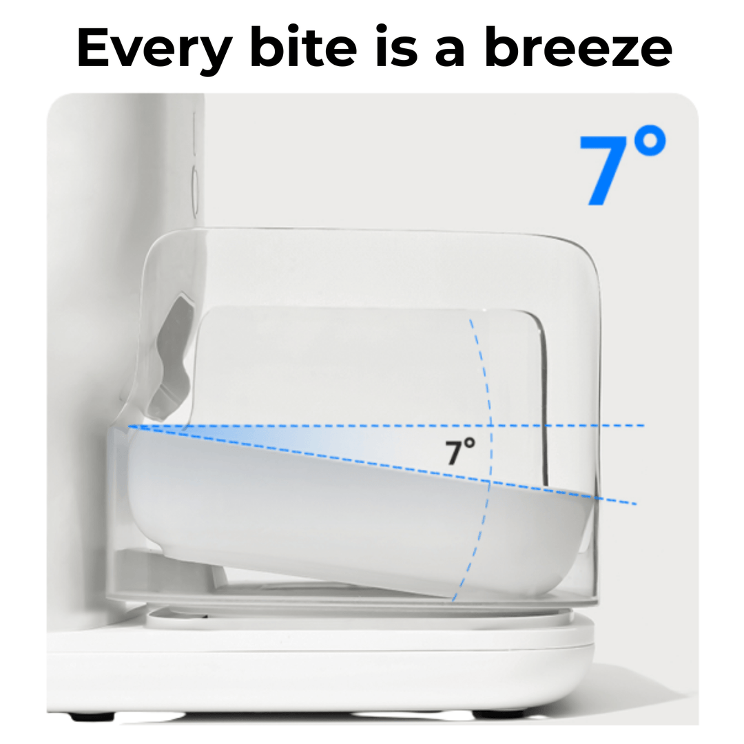 CATLINK Automatic Feeder - F04 FRESH 2 Luxury - Catlink EU