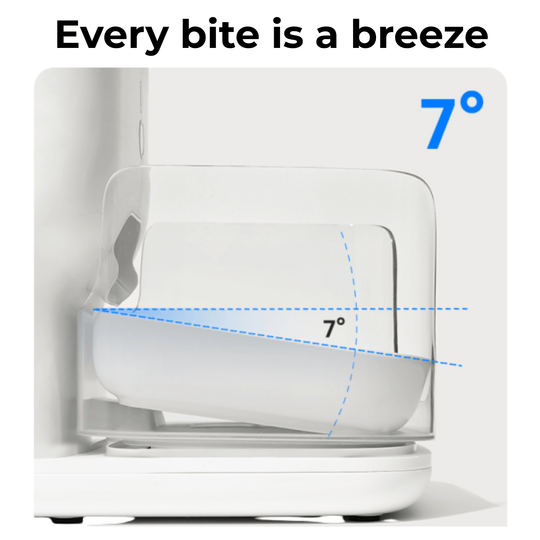 CATLINK Automatic Feeder - F04 FRESH 2 Luxury - Catlink EU