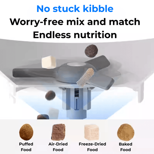 CATLINK Automatic Feeder - F04 FRESH 2 Luxury - Catlink EU