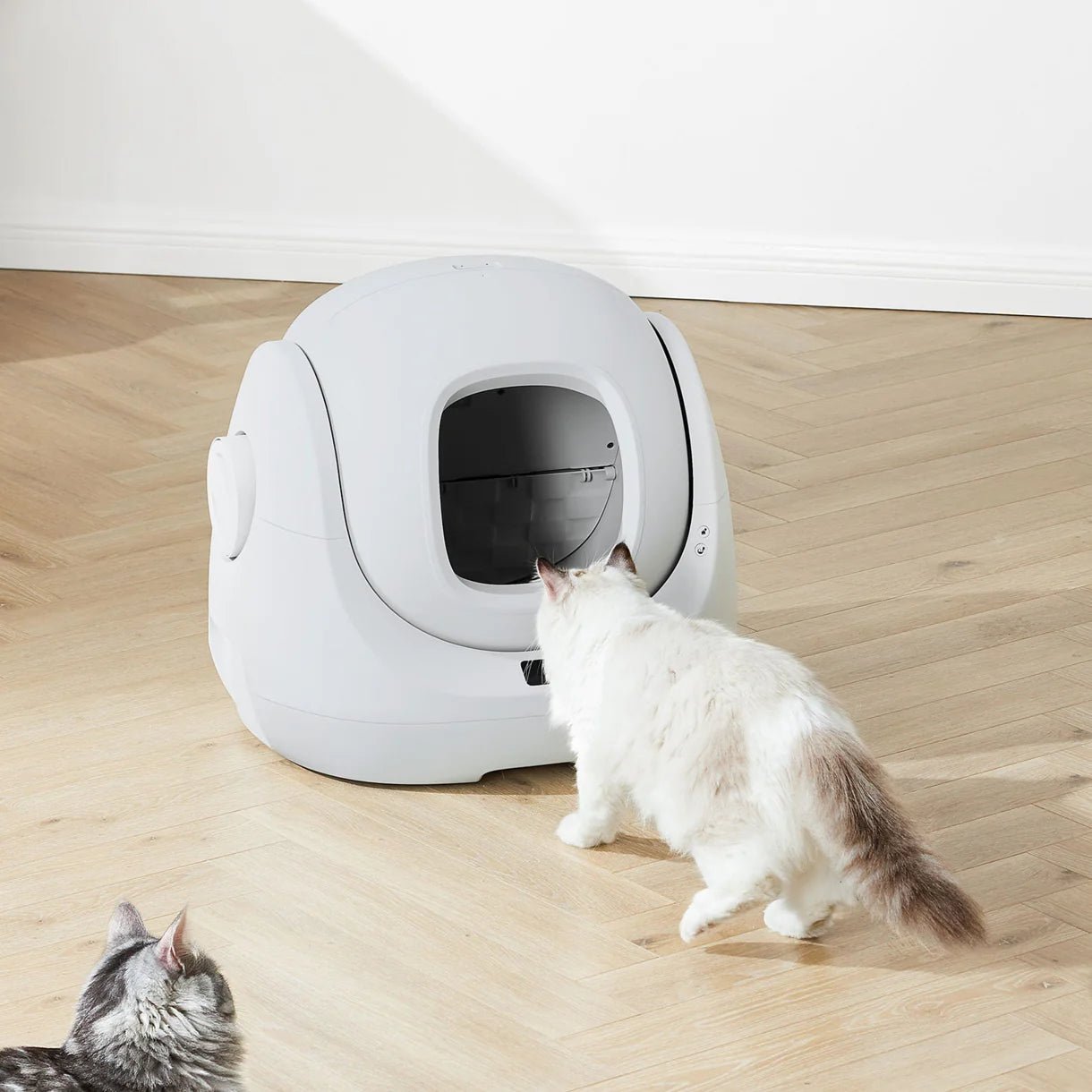 Catlink Baymax Lite (Gray) Self-Cleaning Litter Box