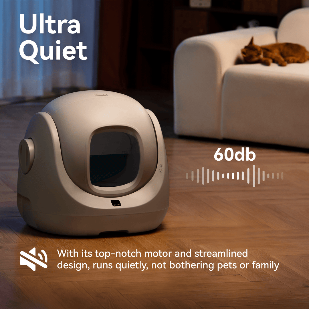 Catlink Baymax Lite (Gray) Self - Cleaning Litter Box - Catlink EU