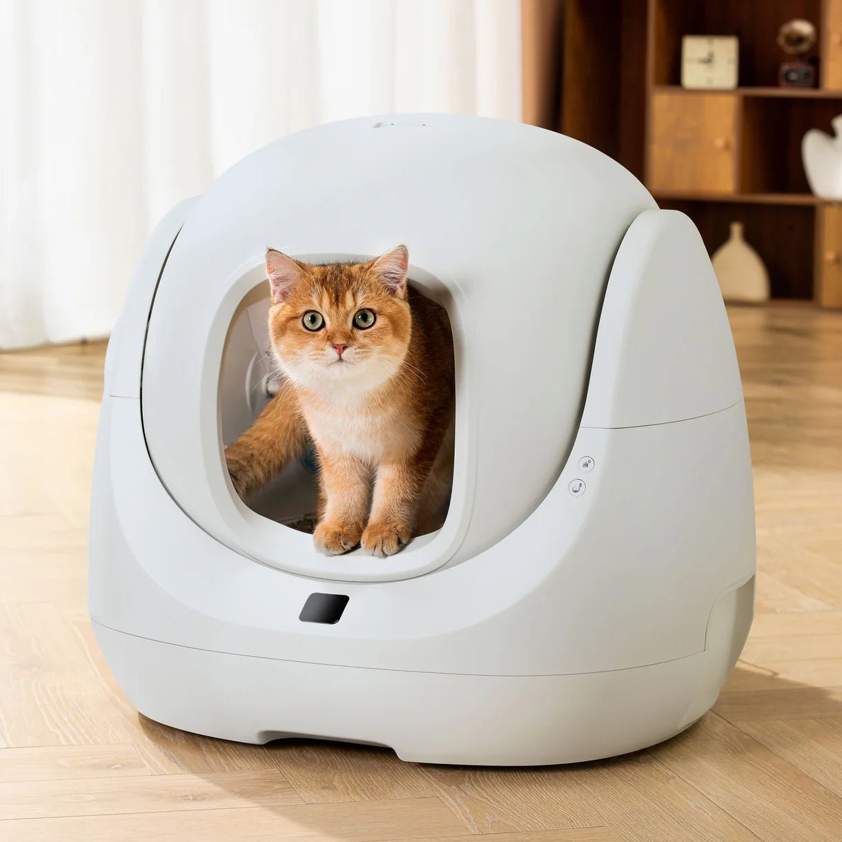 Catlink Baymax Lite (Gray) Self-Cleaning Litter Box