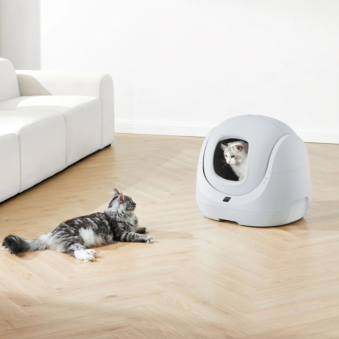 Catlink Baymax Lite Gray Self Cleaning Litter Box Catlink EU catlink-baymax-lite-gray-self-cleaning-litter-box-catlink-eu