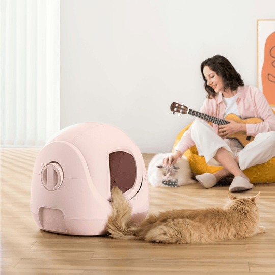 Catlink Baymax (Pink) Self - Cleaning Litter Box - Catlink EU