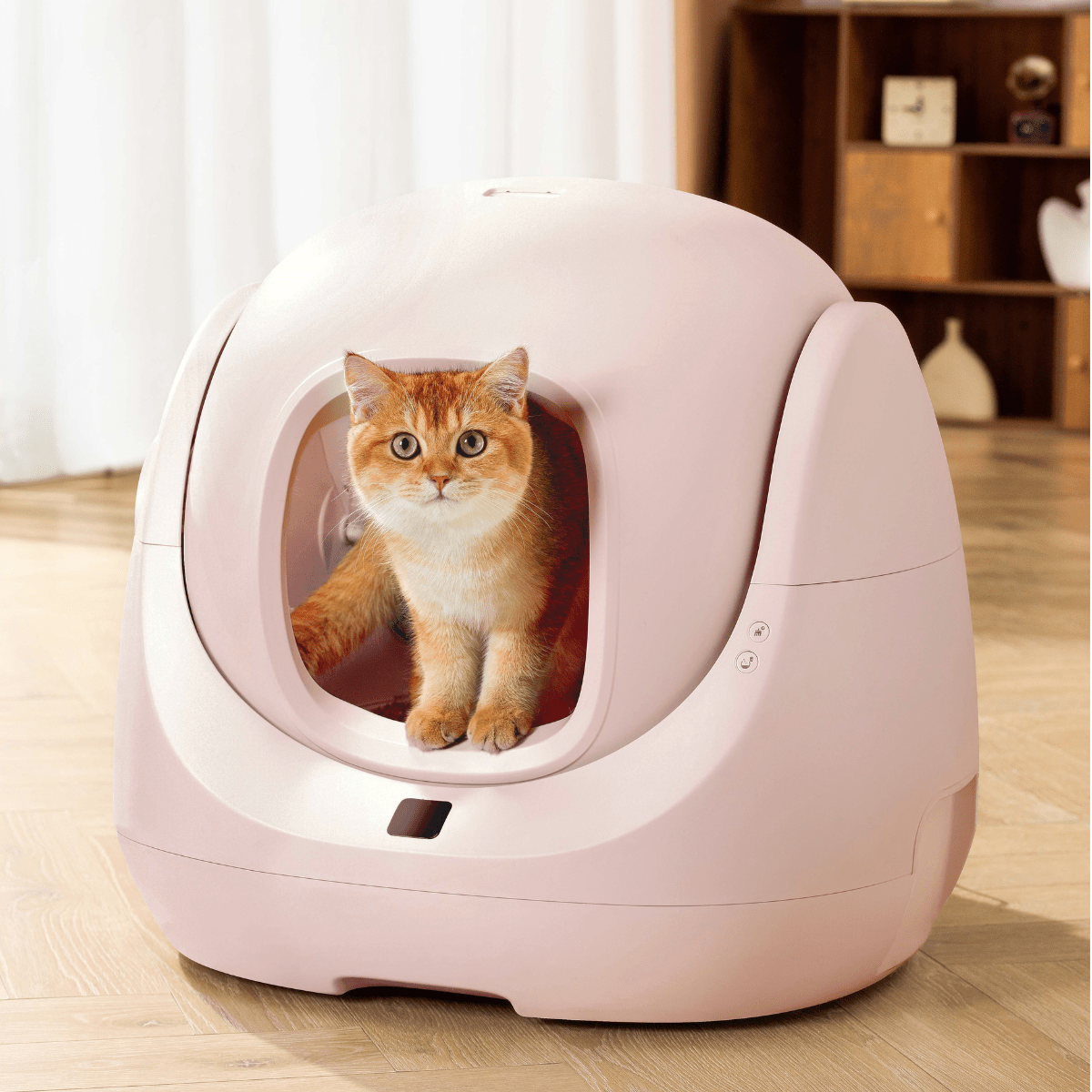Catlink Baymax (Pink) Self - Cleaning Litter Box - Catlink EU