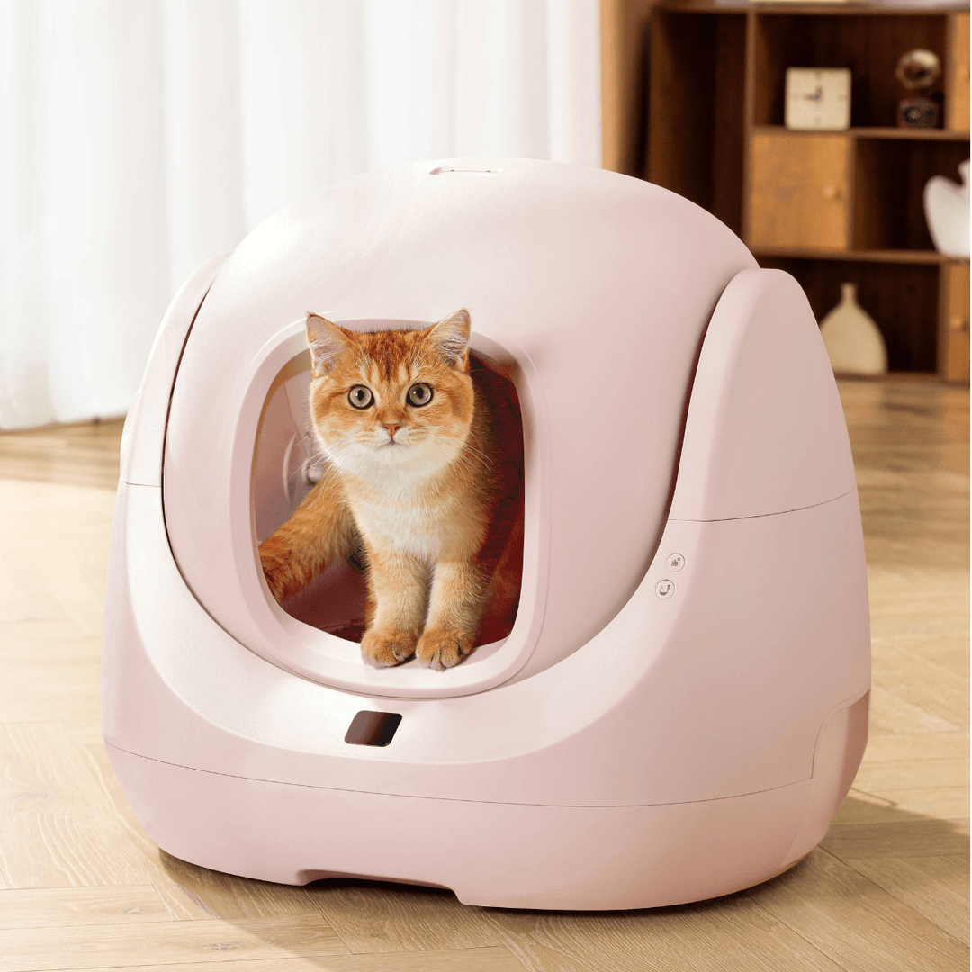 Catlink Baymax (Pink) Self - Cleaning Litter Box - Catlink EU