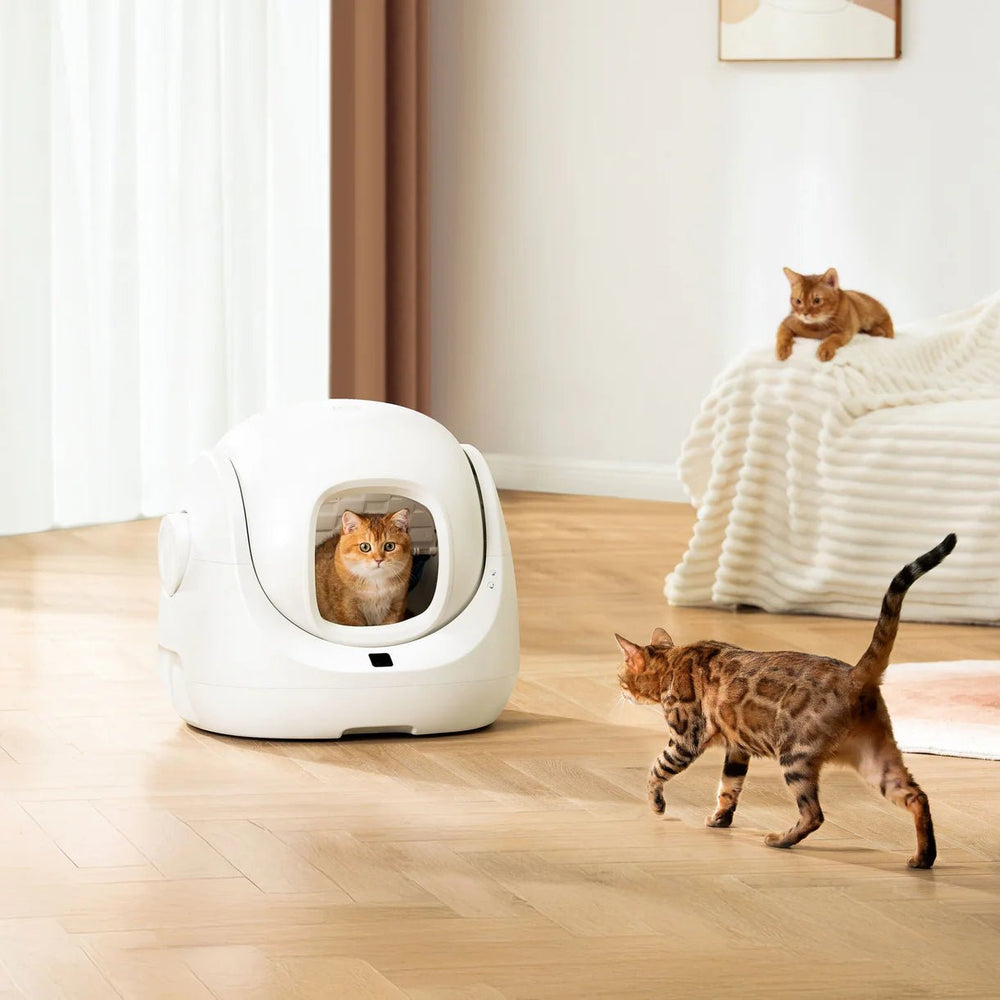 Catlink Baymax (White/ Pink) Self-Cleaning Litter Box