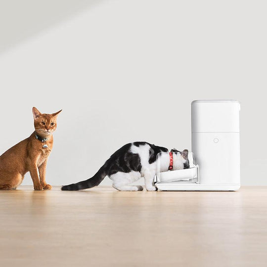 CATLINK Automatic Feeder Fresh 2 Luxury - Twopoint
