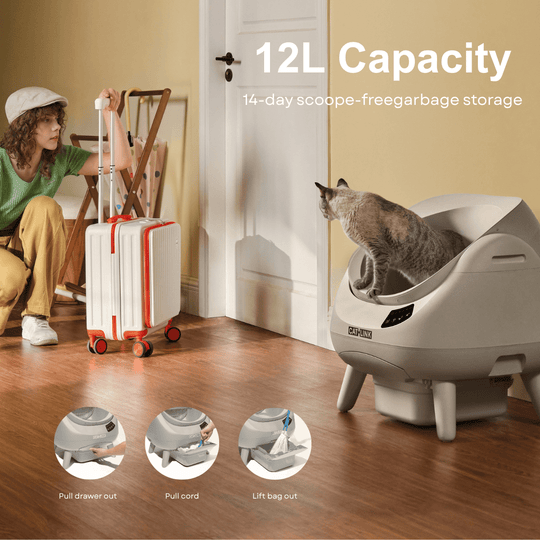CATLINK Open - X Lite Open Top Self - cleaning Litter Box - Catlink EU