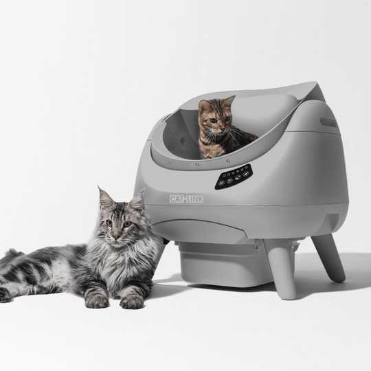 CATLINK Open - X Lite Open Top Self - cleaning Litter Box - Catlink EU