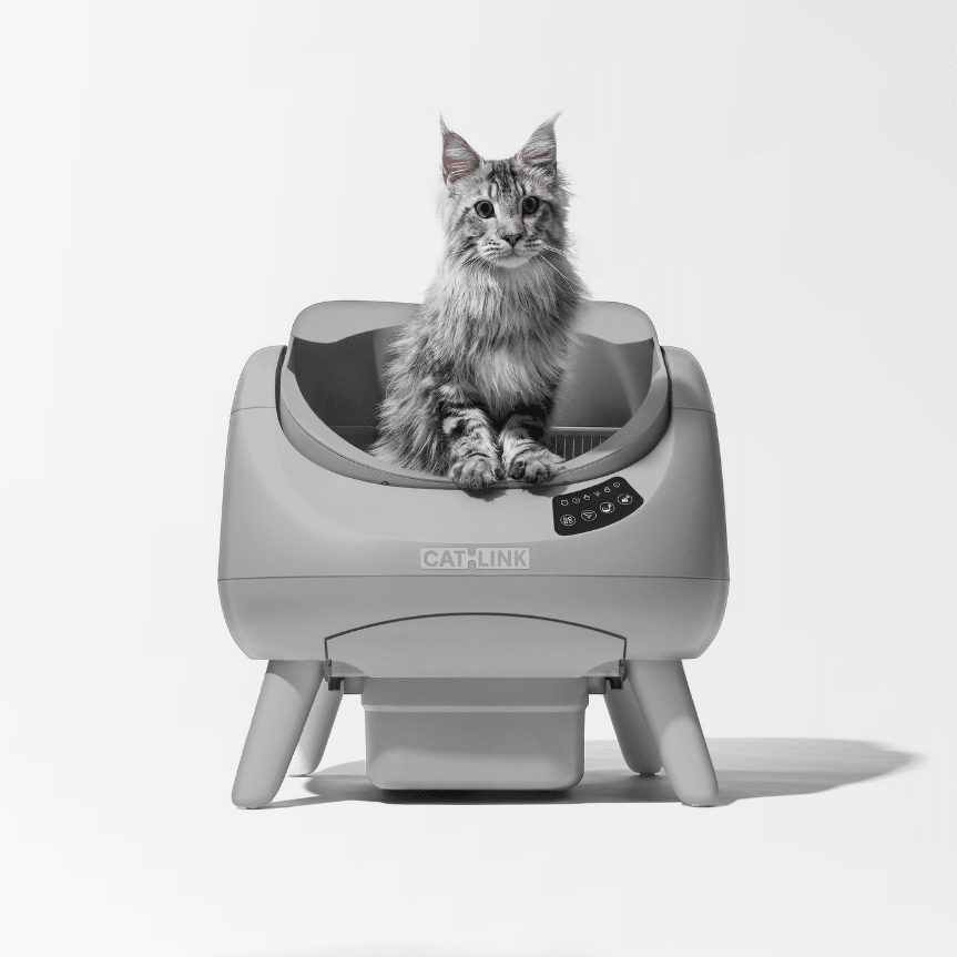 CATLINK Open - X Lite Open Top Self - cleaning Litter Box - Catlink EU