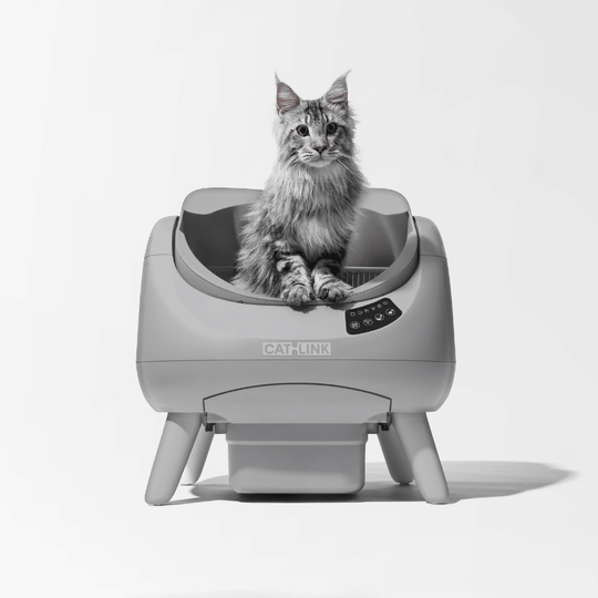 CATLINK Open - X Lite Open Top Self - cleaning Litter Box - Catlink EU