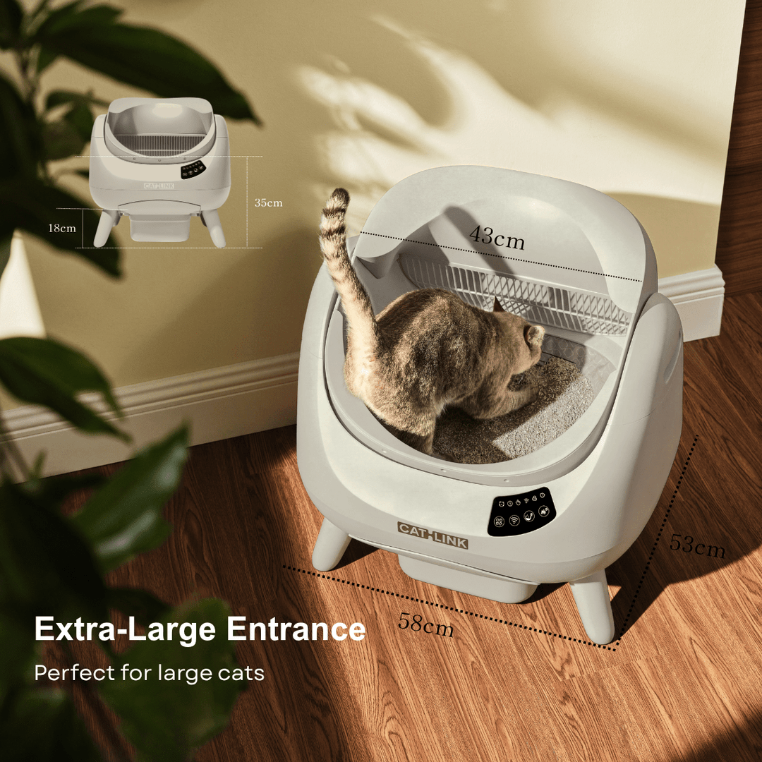 CATLINK Open - X Lite Open Top Self - cleaning Litter Box - Catlink EU