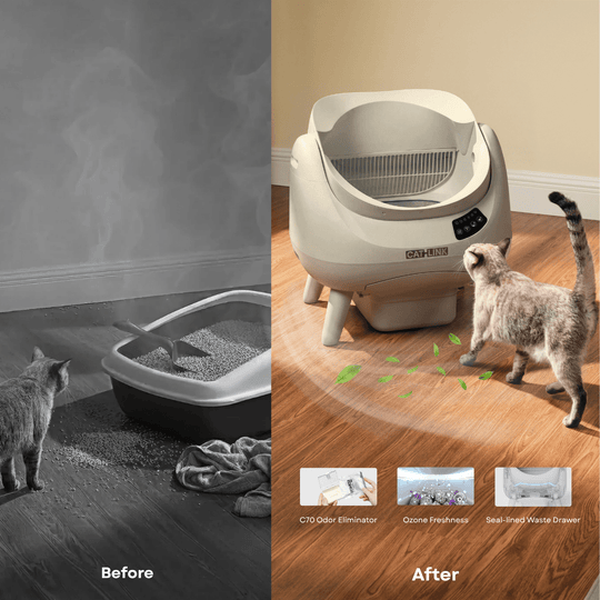 CATLINK Open - X Lite Open Top Self - cleaning Litter Box - Catlink EU