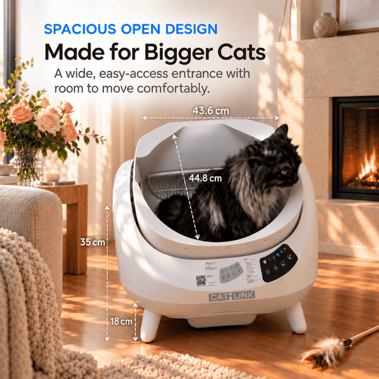 CATLINK Open-X Pro Open Top Self-cleaning Litter Box (With Built-in Camera) - Catlink EU