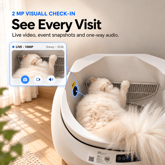 CATLINK Open-X Pro Open Top Self-cleaning Litter Box (With Built-in Camera) - Catlink EU