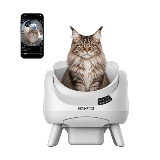 CATLINK Open-X Pro Open Top Self-cleaning Litter Box (With Built-in Camera) - Catlink EU