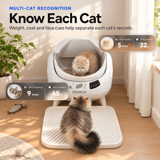 CATLINK Open-X Pro Open Top Self-cleaning Litter Box (With Built-in Camera) - Catlink EU