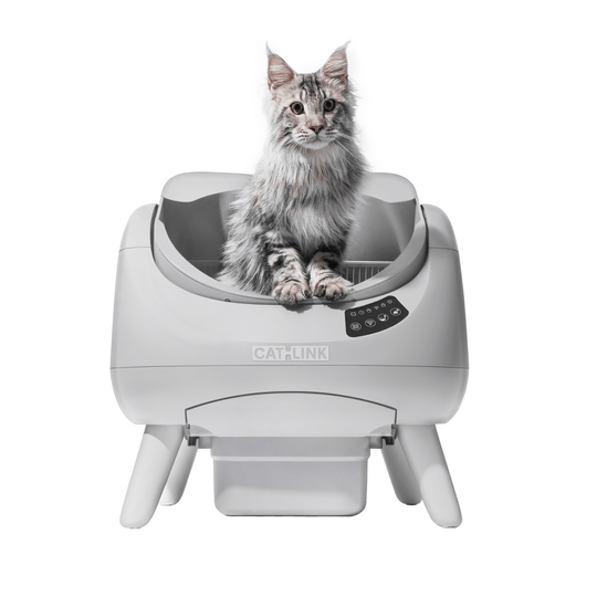 CATLINK Open-X Replacement Base - Catlink EU