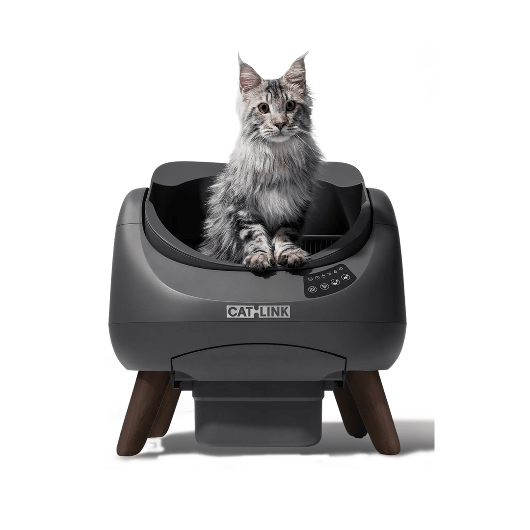 CATLINK Open-X Replacement Base - Catlink EU
