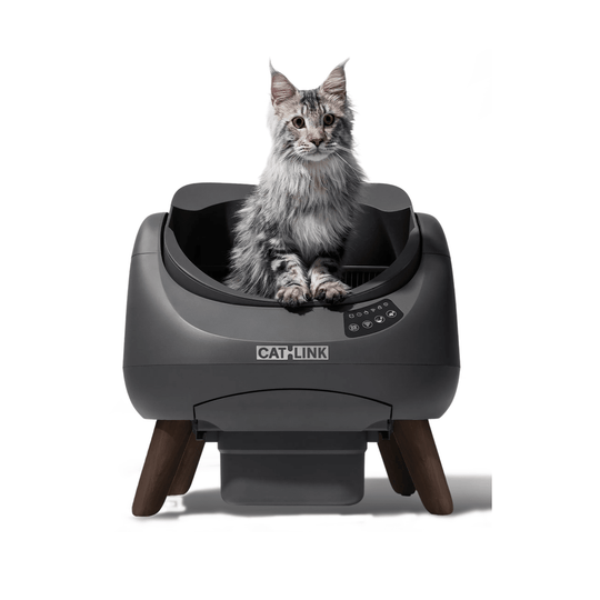 CATLINK Open-X Replacement Base - Catlink EU