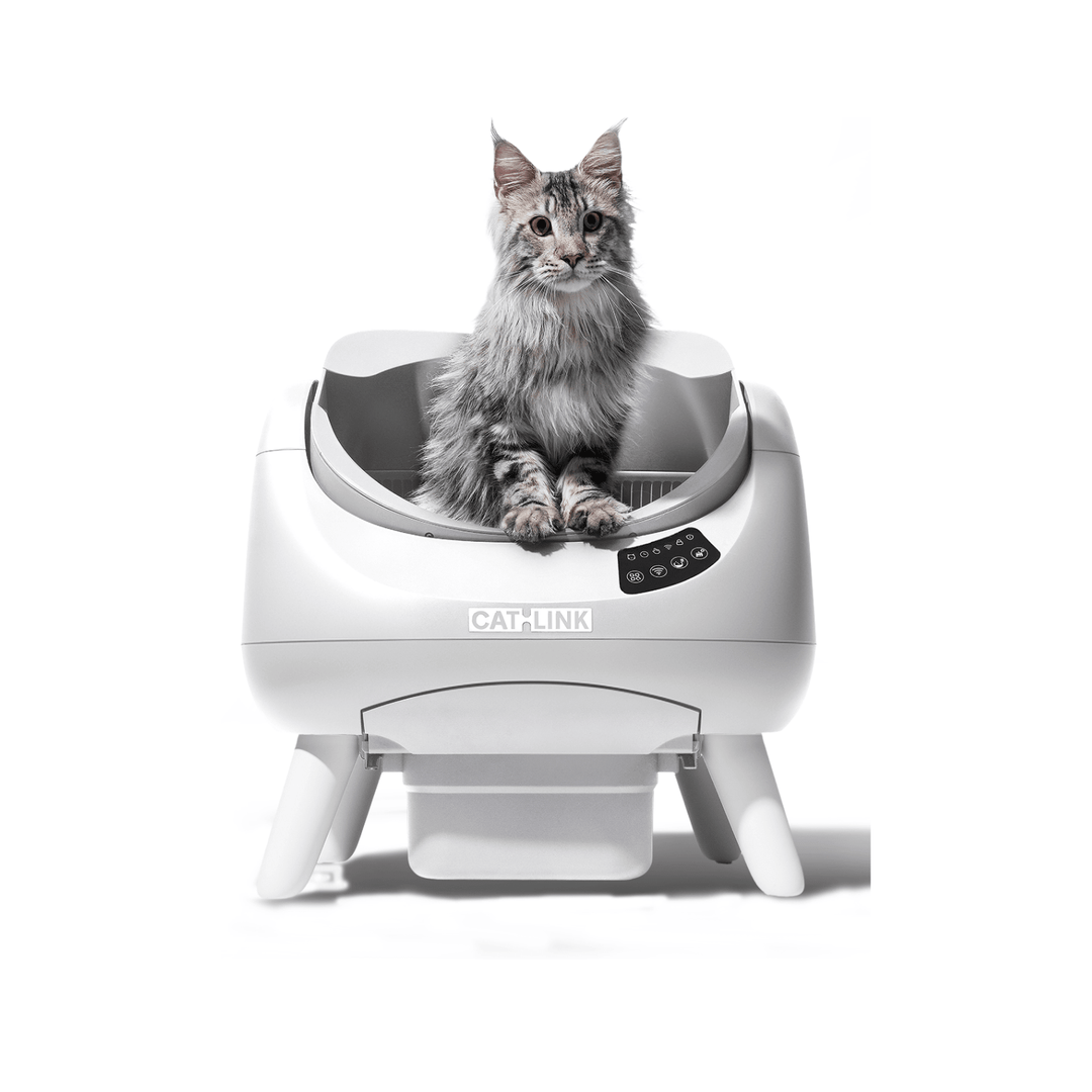 CATLINK Open-X Replacement Base - Catlink EU
