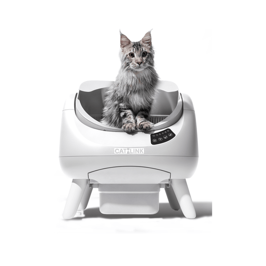 CATLINK Open-X Replacement Base - Catlink EU