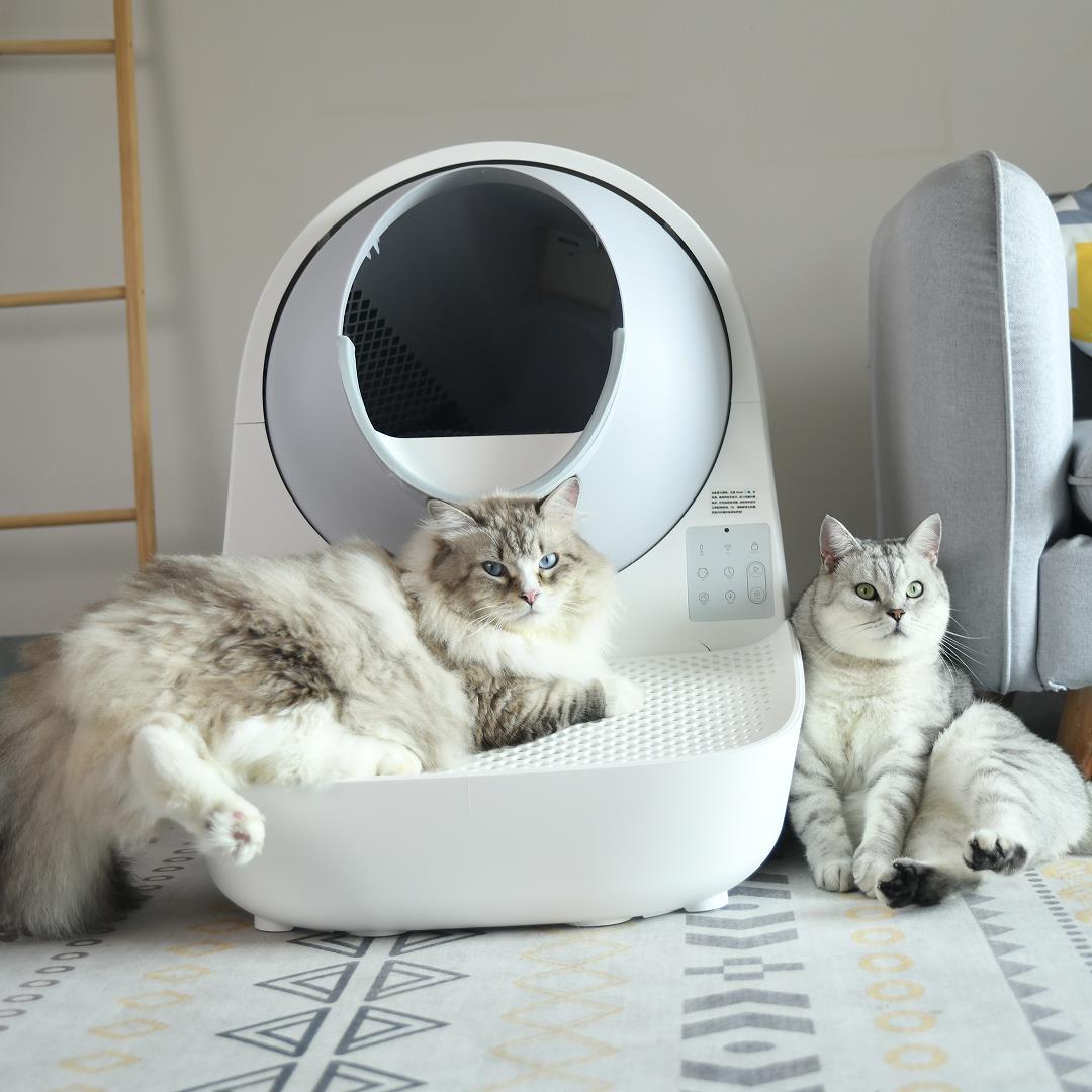 Catlink Pro-X Luxury mit Treppe selbstreinigende Katzentoilette - Twopoint