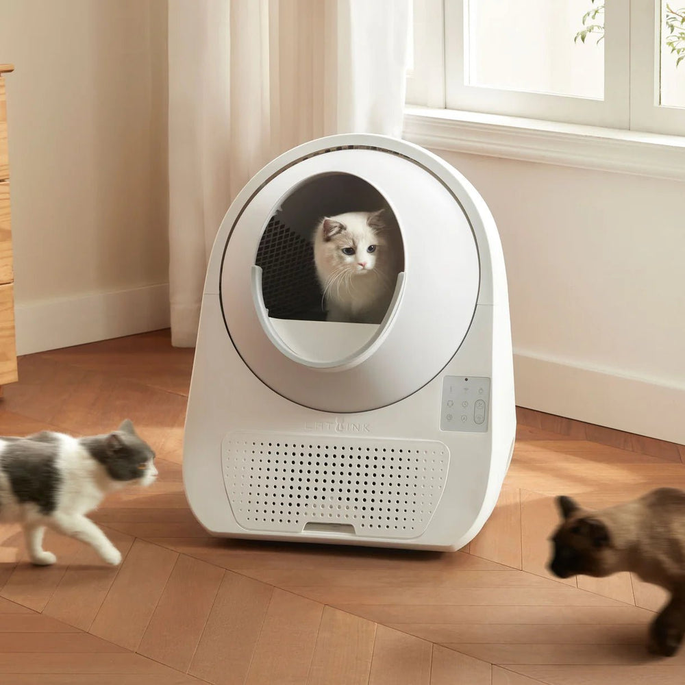 Catlink Pro-X Ultra Self-Cleaning Litter Box