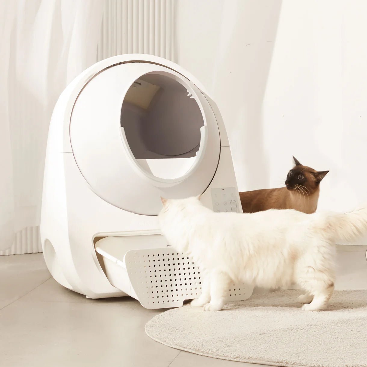 Catlink Pro-X Ultra Self-Cleaning Litter Box