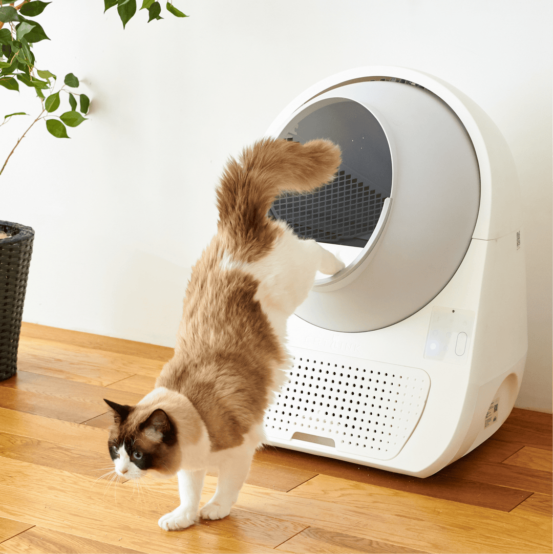 Catlink Pro - X Luxury Self - Cleaning Litter Box（Pre - order） - Catlink EU