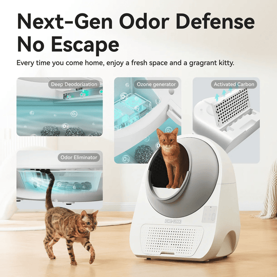 Catlink Pro - X Ultra Self - Cleaning Litter Box - Catlink EU