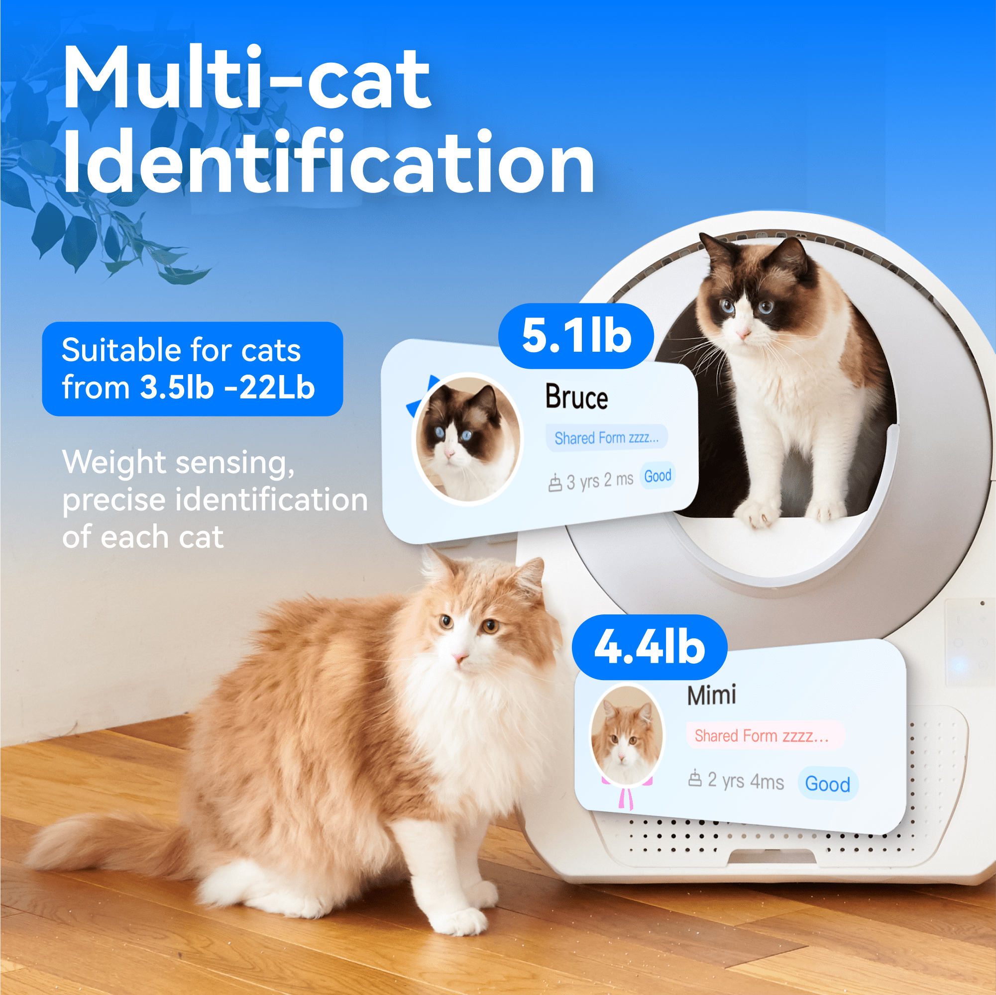 Catlink Pro - X Ultra Self - Cleaning Litter Box（Pre - order） - Catlink EU