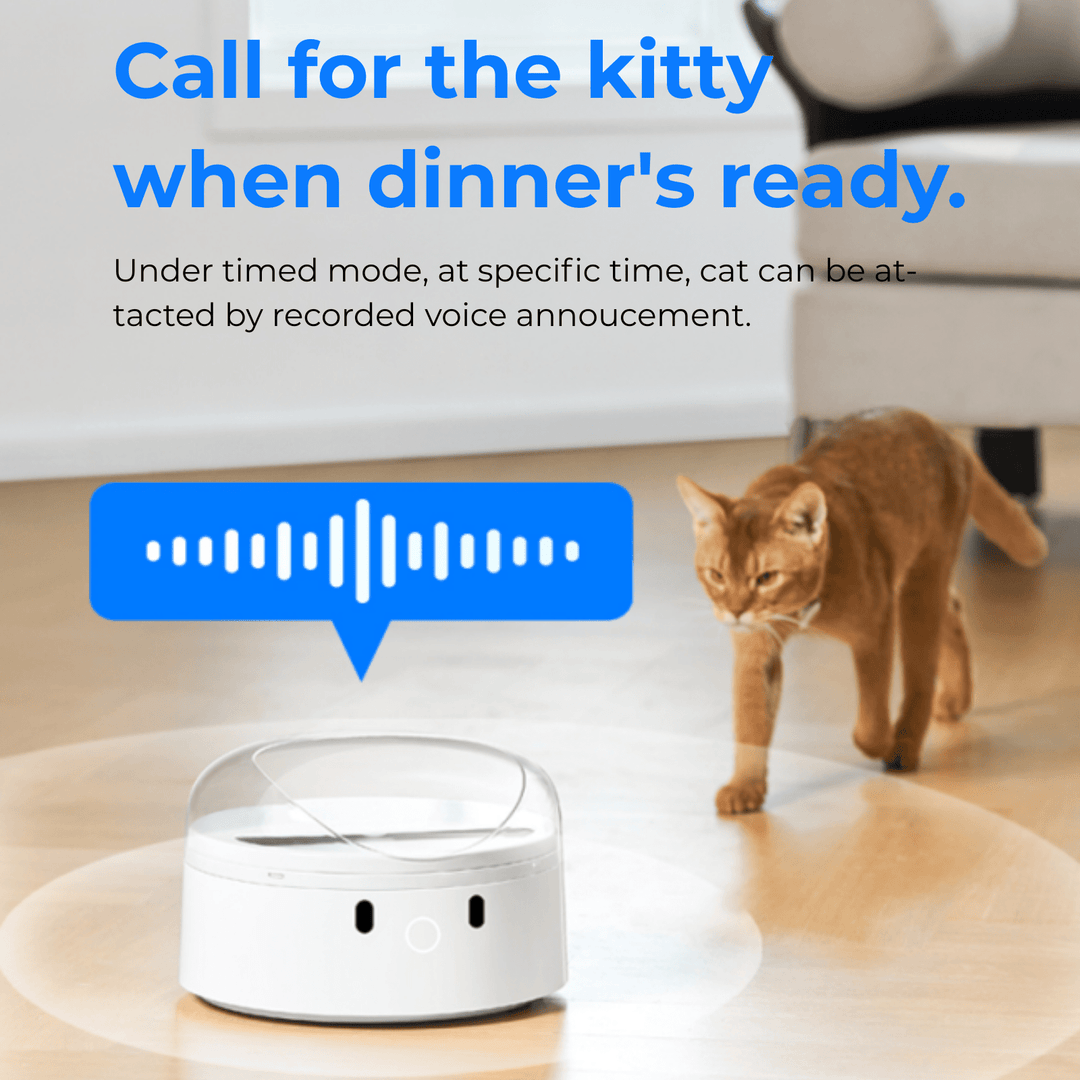 CATLINK RFID F03 Standard Pet Feeder - Catlink EU