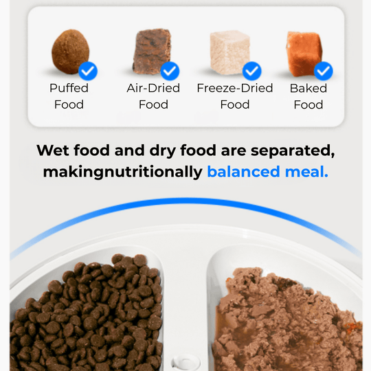 CATLINK RFID F03 Standard Pet Feeder - Catlink EU