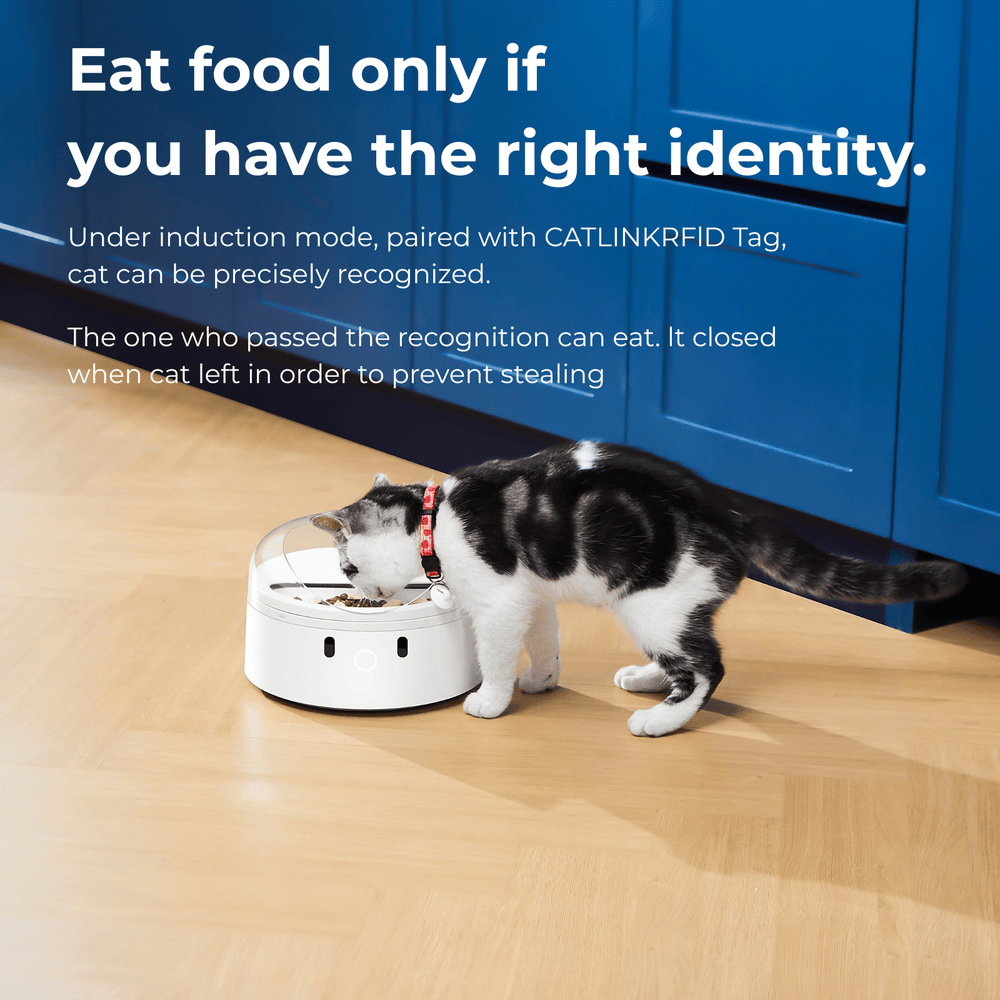 CATLINK RFID F03 Standard Pet Feeder - Catlink EU